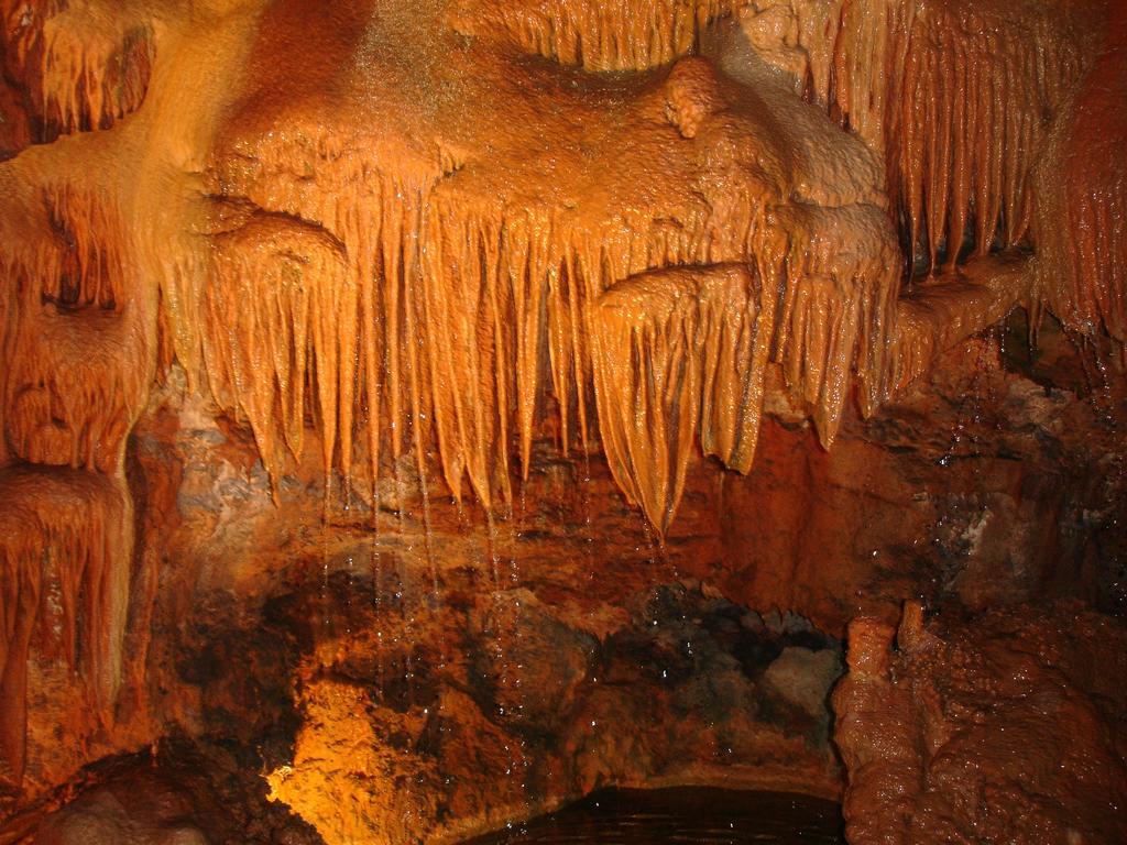 Casa Da Felicidade Pataias Dış mekan fotoğraf